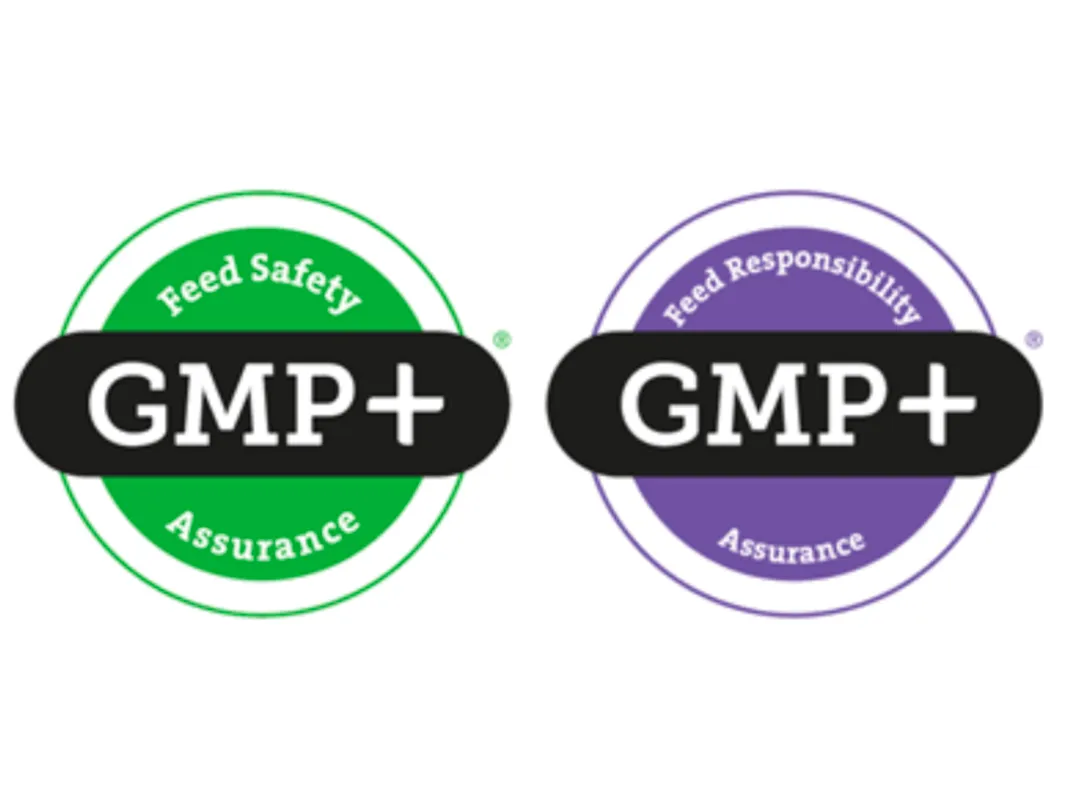 GMP Cosmetics ASEAN Good Manufacturing Practice Logo